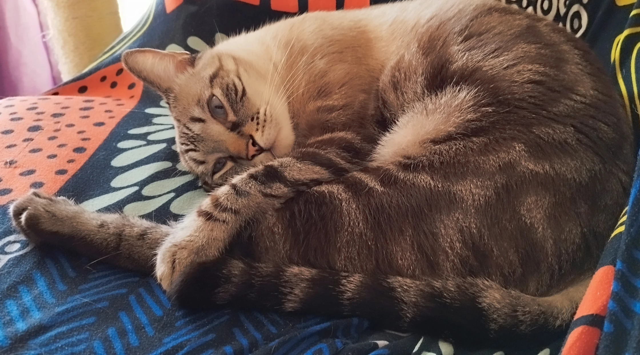 tom descanso